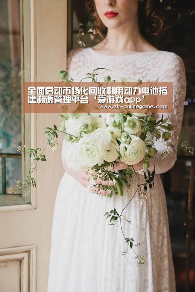 全面启动市场化回收利用动力电池搭建溯源管理平台‘爱游戏app’(图1) 爱游戏官方入口