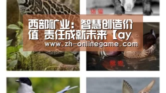 西部矿业:智慧创造价值 责任成就未来【ayx体育】(图2) 爱游戏app